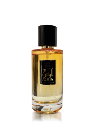 AOUS 100 ML
