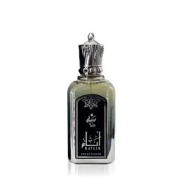 AYAAM 100 ML